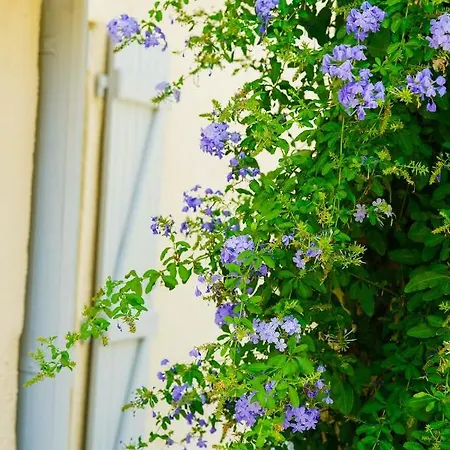 Le Chai N°9, Demeure Et De Charme Διαμέρισμα